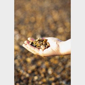 rtesten 8/16 mm  beige/rdbrune