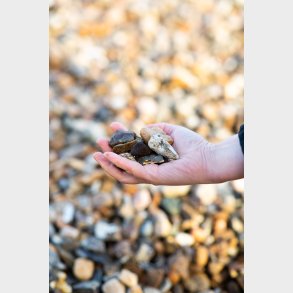 Nddesten 16/32 mm beige/rdbrune