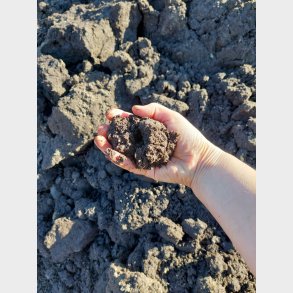 Muldjord - grov sorteret 